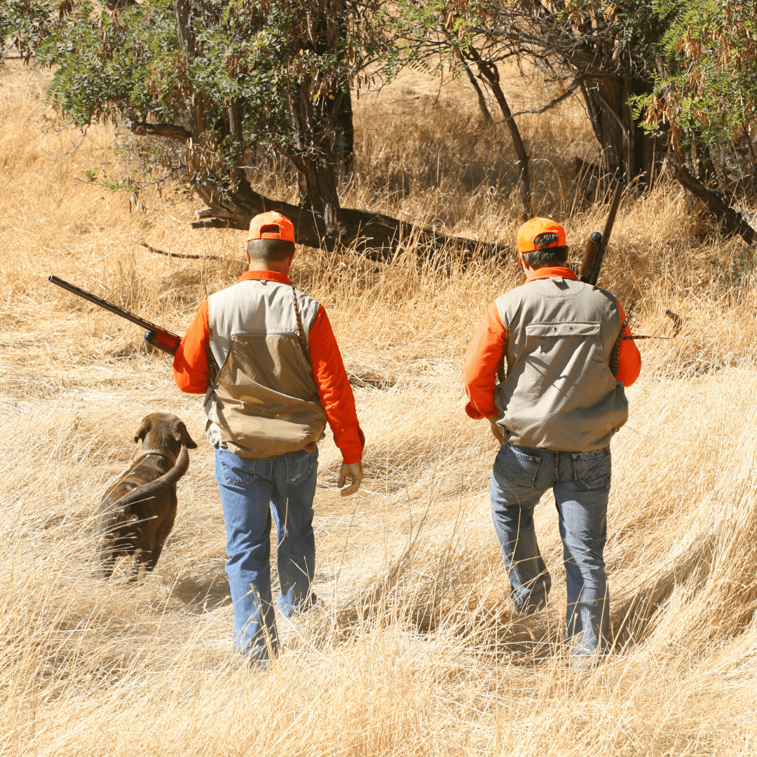 64064dde9e36316c44859406_3 Gender Differences In Hearing Loss