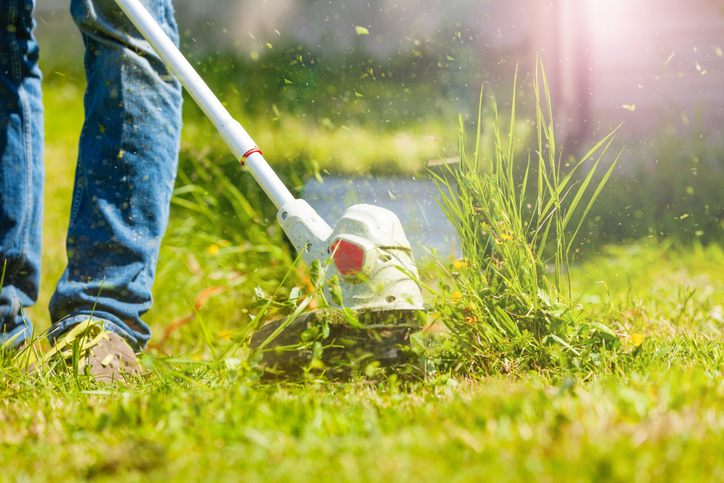 Close-up picture of man trimming fresh grass using brush cutter outdoors